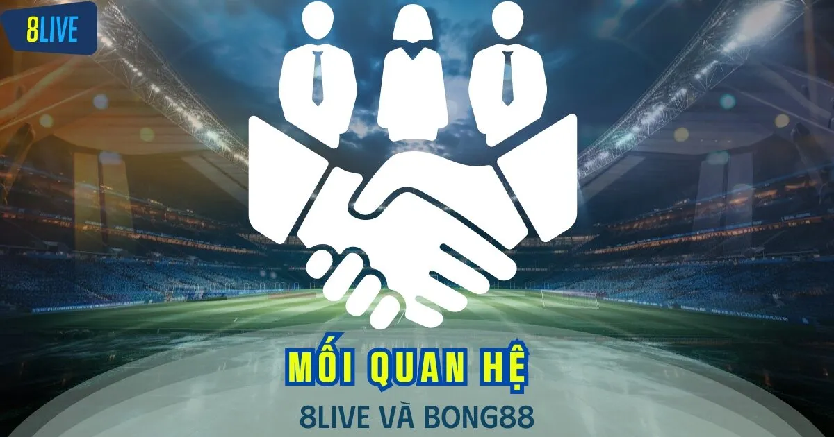 Giải thích mối liên kết giữ 8LIVE và trang Bong88